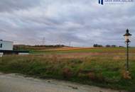 Traumhaftes Baugrundstück in Tresdorf – Ihr Eigenheim auf 782 m² wartet! 391.000 €