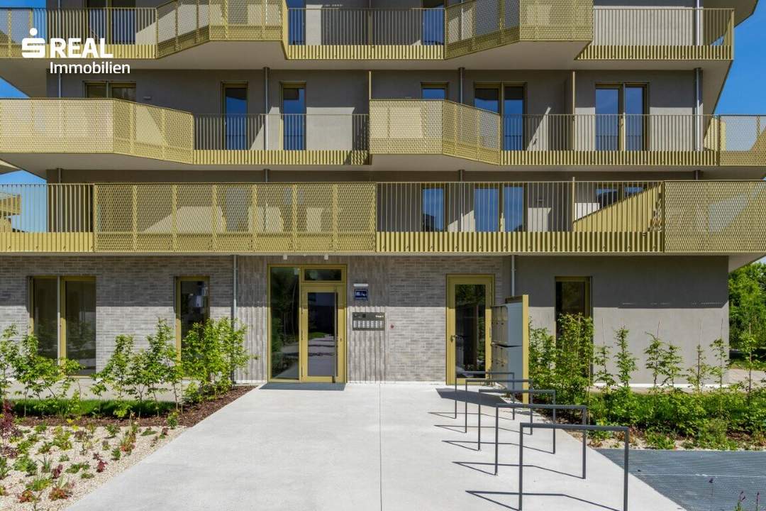 Hirschfeld - Ihr neues Zuhause im Grünen - besichtigen und einziehen