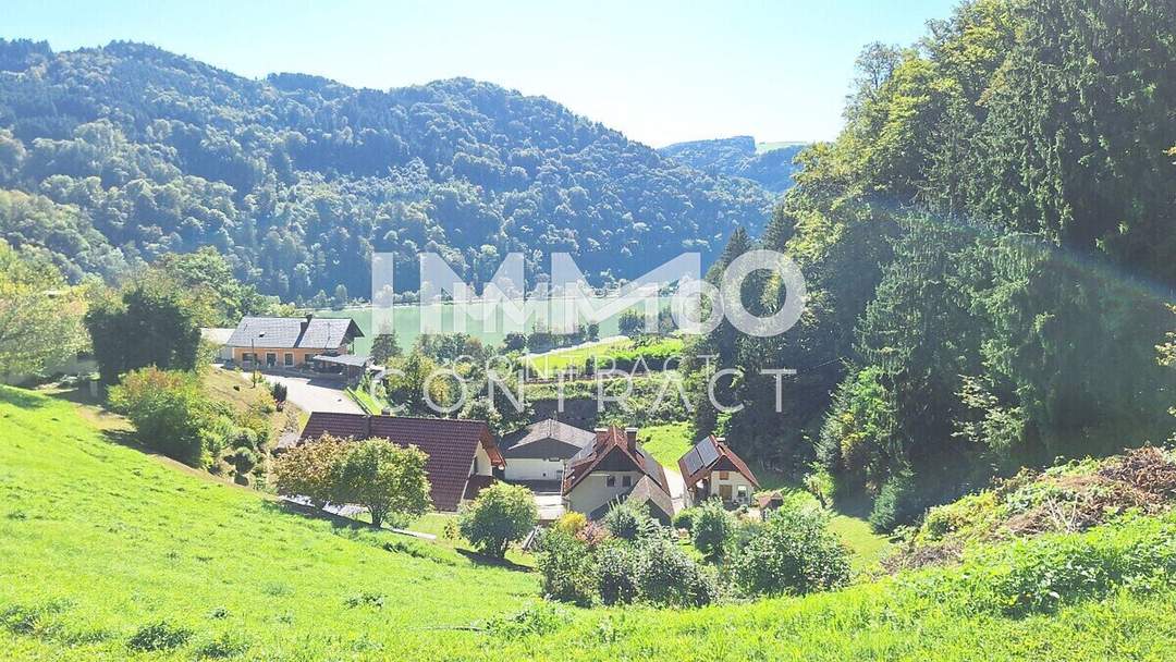 Baugrund 1.177 m² mit Donaublick - Südhang - mit angrenzenden kleinen Grünland 255 m² - St. Nikola