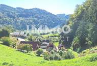 Baugrund 1.177 m² mit Donaublick - Südhang - mit angrenzenden kleinen Grünland 255 m² - St. Nikola