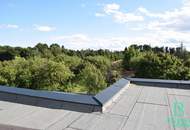 Großzügiges, sonniges Einfamilienhaus mit 80m² Dachterrasse