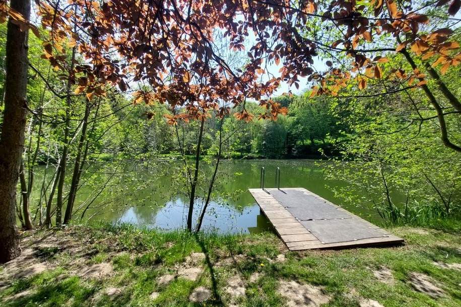 Doppelhaushälfte am Eingang zum Kreuttal - Provisionsfrei!, Haus-kauf, 449.000,€, 2111 Korneuburg