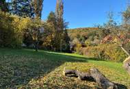 HERRLICH MIT BERG- UND WALDBLICK