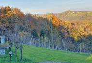 IN SLOWENIEN - Weingut in spektakulärer Alleinlage mit traumhafter Aussicht!