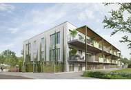 Midori Living - Kunst des Wohnens