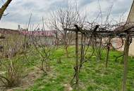 1.355 m² BAUGRUNDSTÜCK ohne Bauzwang