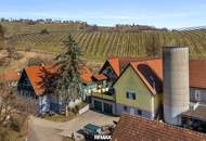 Bäuerliches Anwesen mit Kellerstöckl, Werkstatt, Wirtschaftsgebäuden und sieben Wohneinheiten in St. Nikolai im Sausal