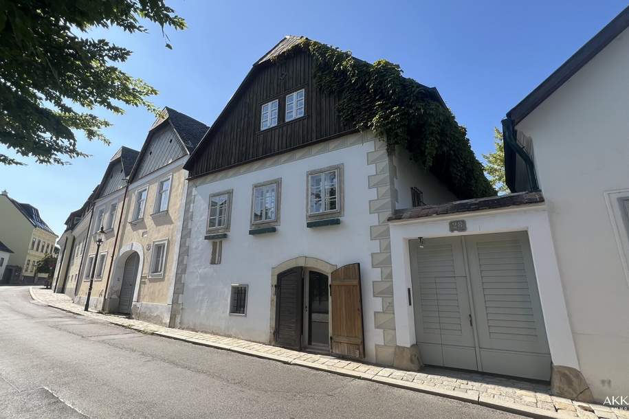 Charmantes Einfamilienhaus in 1190 Wien mit Garten und Pool, Haus-kauf, 3.800.000,€, 1190 Wien 19., Döbling