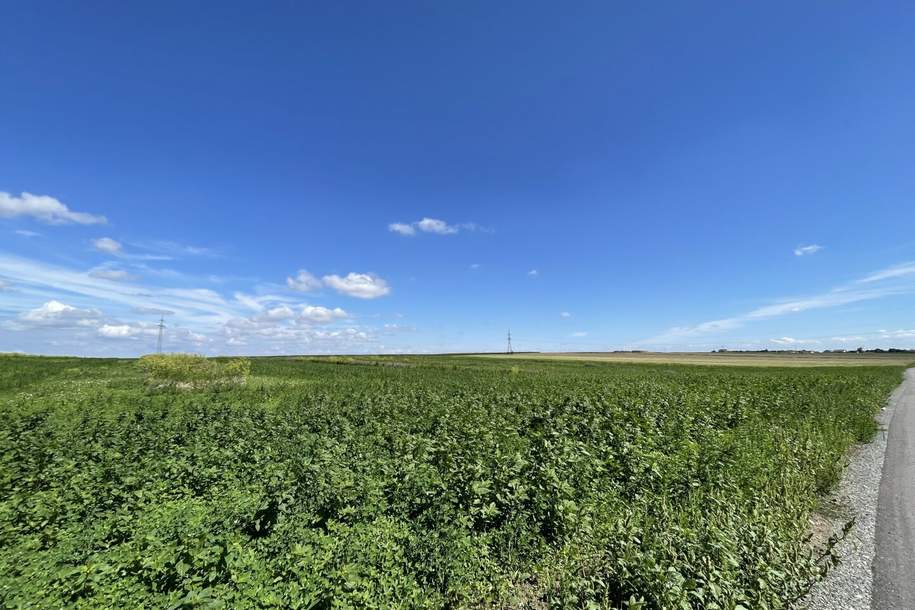 Rarität! Landwirtschaftliches Grundstück zwischen Moosbrunn und Gramatneusiedl– ca. 41.000 m² Ackerfläche zu verkaufen!, Grund und Boden-kauf, 490.000,€, 2440 Bruck an der Leitha