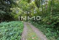 Leben am Waldrand! Baugrundstück im Wienerwald! Nahe an Wien!