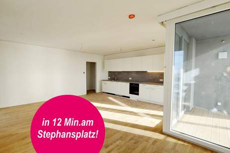 Weitblick zum KAHLENBERG I ERSTBEZUG I U1 I Rooftop Pool, Fitness &amp; Sauna, Wohnung-miete, 1.940,00,€, 1220 Wien 22., Donaustadt