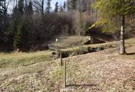 Ca. 16 ha Vielseitige Land- und Forstwirtschaftsflächen im Sackgraben – Gnadenberg
