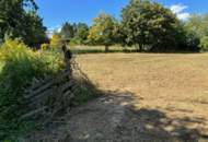 Wohnen im Grünen – Leben in Stadtnähe. Traumhaftes Grundstück im Wischathal!