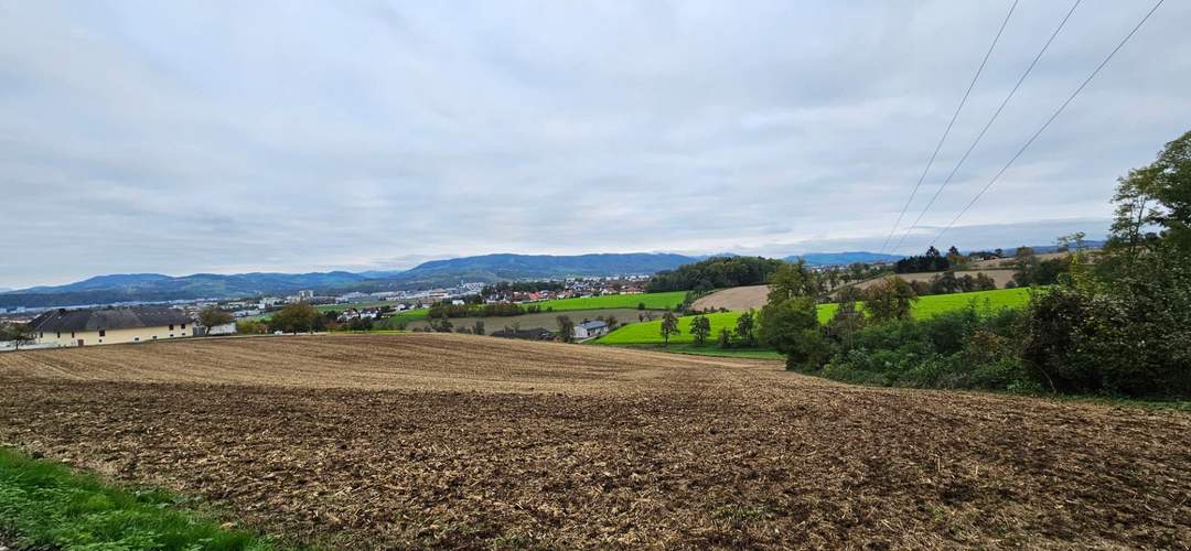 Landwirtschaftlicher Grund mit Potential