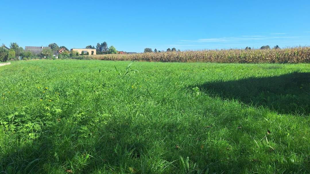 "Sonnige Bauplätze an der Südsteirischen Weinstraße – Wo das Leben schmeckt"