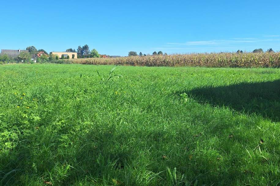 "Sonnige Bauplätze an der Südsteirischen Weinstraße – Wo das Leben schmeckt", Grund und Boden-kauf, 59.000,€, 8472 Leibnitz