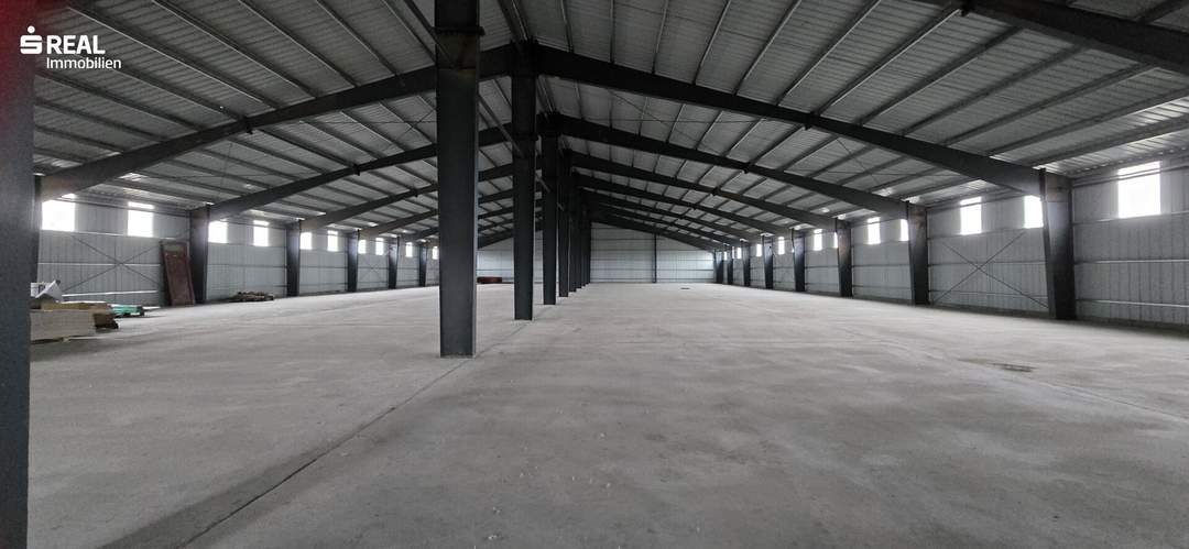 große Lager-/Verkaufs-/Produktionsfläche - Halle in Niederabsdorf