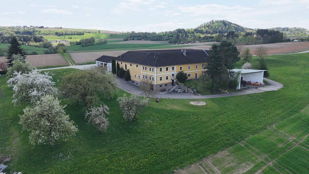 TOP GELEGENHEIT - Mühlviertler Vierkanthof mit Potenzial zur Pferdehaltung und zu insgesamt 4 Wohneinheiten und 38.343 m² Grund
