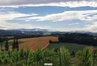 IN SLOWENIEN! Winzerhaus mit Weingarten und Blick bis zum Horizont!