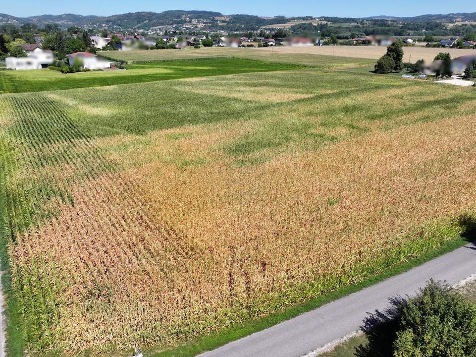 Schönes ebenes Ackergrundstück