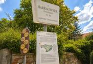 Niedrigenergie Einfamilienhaus (Ziegelmassiv!) | PV-Anlage, LWP | 4 Zimmer | Keller, Eigengarten, Terrasse & Carport