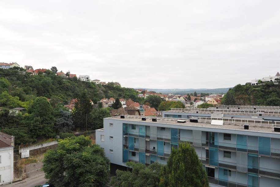 "Logenplatz auf Krems", Wohnung-kauf, 250.000,€, 3500 Krems an der Donau(Stadt)