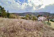 Großes Grundstück für Bauträger oder privaten Wohnbau! Bebauungsstudie vorhanden! Altbestand!