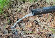 Ferienhaus/Alleinlage in absoluter Ruhelage am Waldrand (Provisionsfrei)