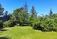 GROSSZÜGIGE FLÄCHE IN ZENTRALER LAGE - KEIN BAUZWANG