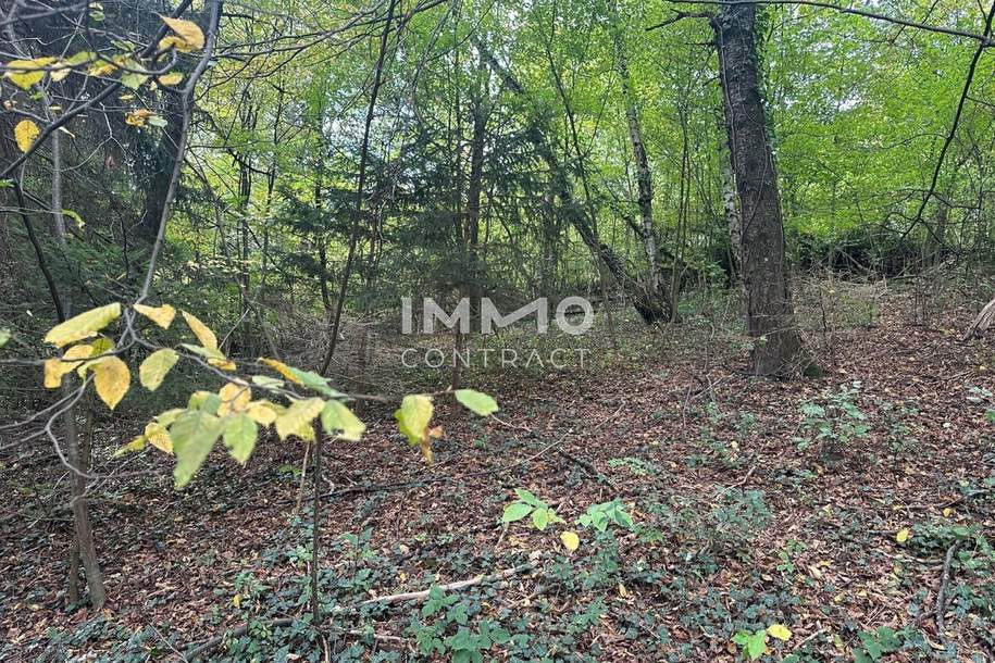 Leben mitten in der Natur! Baugrundstück im Wienerwald! Perfekt für Familien geeignet!, Grund und Boden-kauf, 530.000,€, 3021 Sankt Pölten(Land)