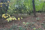 Leben mitten in der Natur! Baugrundstück im Wienerwald! Perfekt für Familien geeignet!