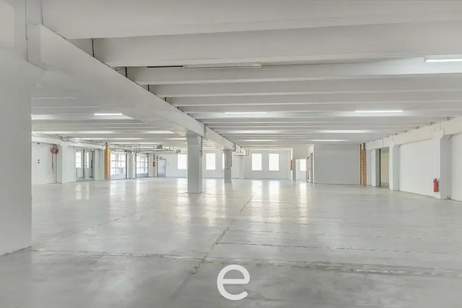 Lagerhalle mit 2 elektrischen, überdachten Laderampen I Oberhofen am Irrsee bei Vöcklabruck, Gewerbeobjekt-miete, 9.000,00,€, 4894 Vöcklabruck