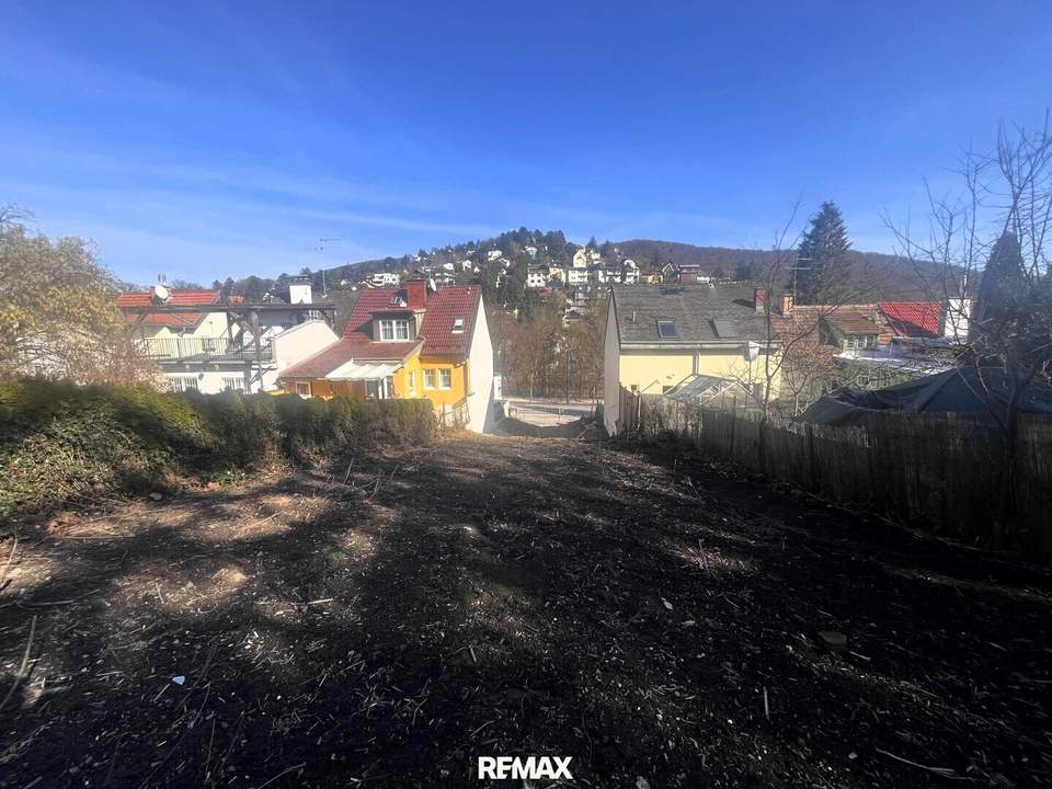 "Rarität in Penzing"