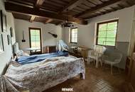 **Charmantes 4-Zimmer-Haus mit Pool, großem Grundstück & traumhafter Aussicht im SÜDBURGENLAND!**