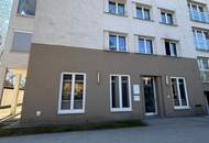 Charmante 3-Raum Wohnung mit Loggia am Bindermichl! Erleben Sie ein einzigartiges Wohngefühl nahe am Zentrum!