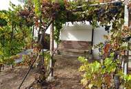 Kellerstöckl mit Weingartenidylle in Markt Neuhodis