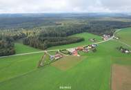 Baugrundstück mit optional angrenzenden Nutzgrund