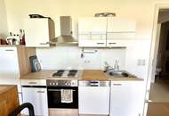 2 Zimmerwohnung mit 160 m² Garten in Litzelsdorf!