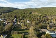 Einzigartige Jahrhundertwende-Villa mit Privatpark und Wald | Blick in alle Himmelsrichtungen | Lichtdurchflutet