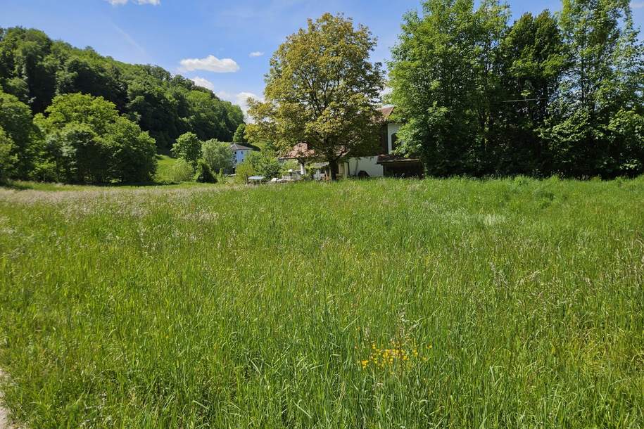 Ruhiges Baugrundstück in bester Lage!, Grund und Boden-kauf, 185.000,€, 5122 Braunau am Inn