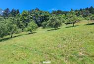 Sonniges Baugrundstück in Panoramalage Nähe LKH Bruck/Mur