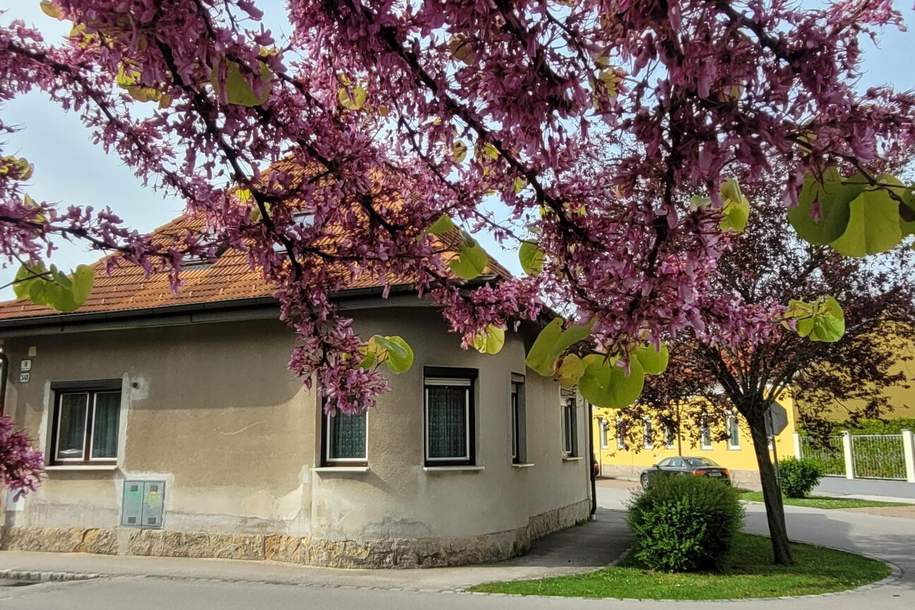 Leobersdorf - Althaus mit Garten, Haus-kauf, 250.000,€, 2544 Baden