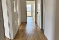 Aufblühen in Reininghaus