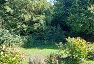 Haus mit zwei getrennten Wohneinheiten in ruhiger Lage