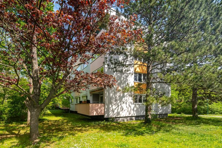 Mehr Raum für die Familie | 4-Zimmer | 2 Loggien & Grünblick | Nähe SCS & Schulen, Wohnung-kauf, 259.000,€, 2344 Mödling