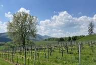 Prima 3-Zimmer-Balkonwohnung zu verkaufen!