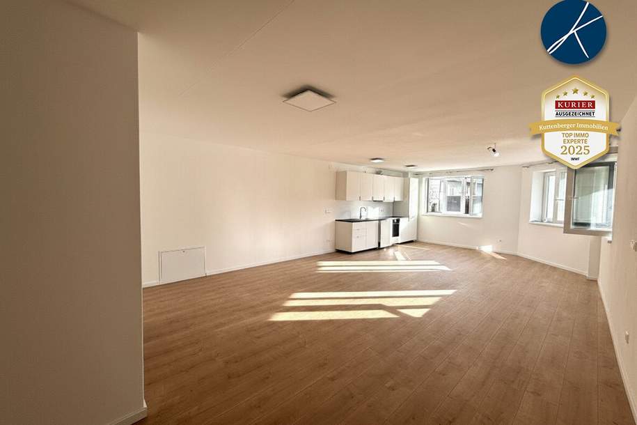 UNBEFRISTET, Großzügig und Hell am Fuße des Göttweigers!, Wohnung-miete, 1.100,00,€, 3500 Krems an der Donau(Stadt)