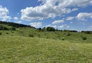 Familienhit! Gut geschnittene 4-Zimmer-Dachgeschosswohnung zu verkaufen!