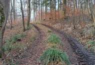 5121 St. Radegund: Für Liebhaber, Freizeitgrund, Laubwald für vielerlei Verwendung!