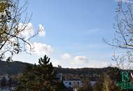 Sonnige, entzückende, top 3-Zimmerwohnung - Blick auf Burg Liechtenstein